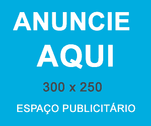 300/250